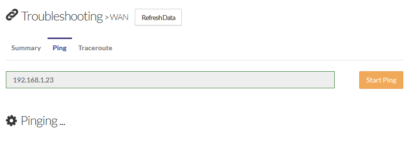 Running a Ping